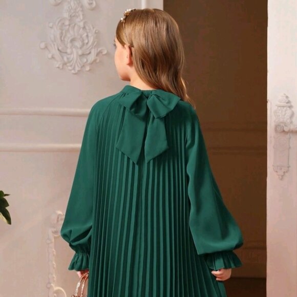 Flare Sleeve Back Tie Pleated Dress - Picture 7 of 7